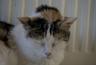DSC07059.jpg