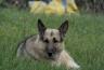 DSC07282.jpg