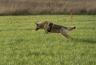 DSC07505.jpg