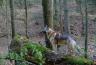 DSC07467.jpg