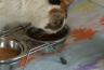 DSC07543.jpg