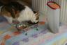 DSC07542.jpg