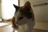 DSC07539.jpg