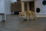 DSC00357.jpg