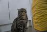 DSC00355.jpg