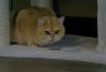 DSC00348.jpg