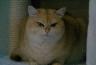 DSC00340.jpg