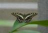 DSC01171.jpg