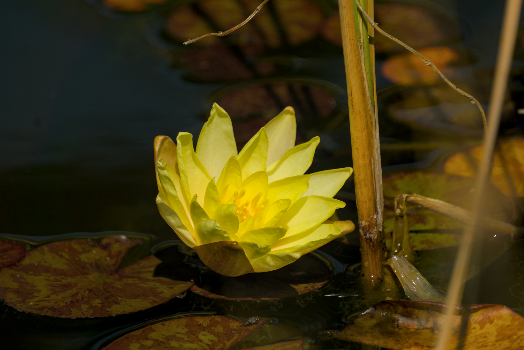 DSC04505_01.webp