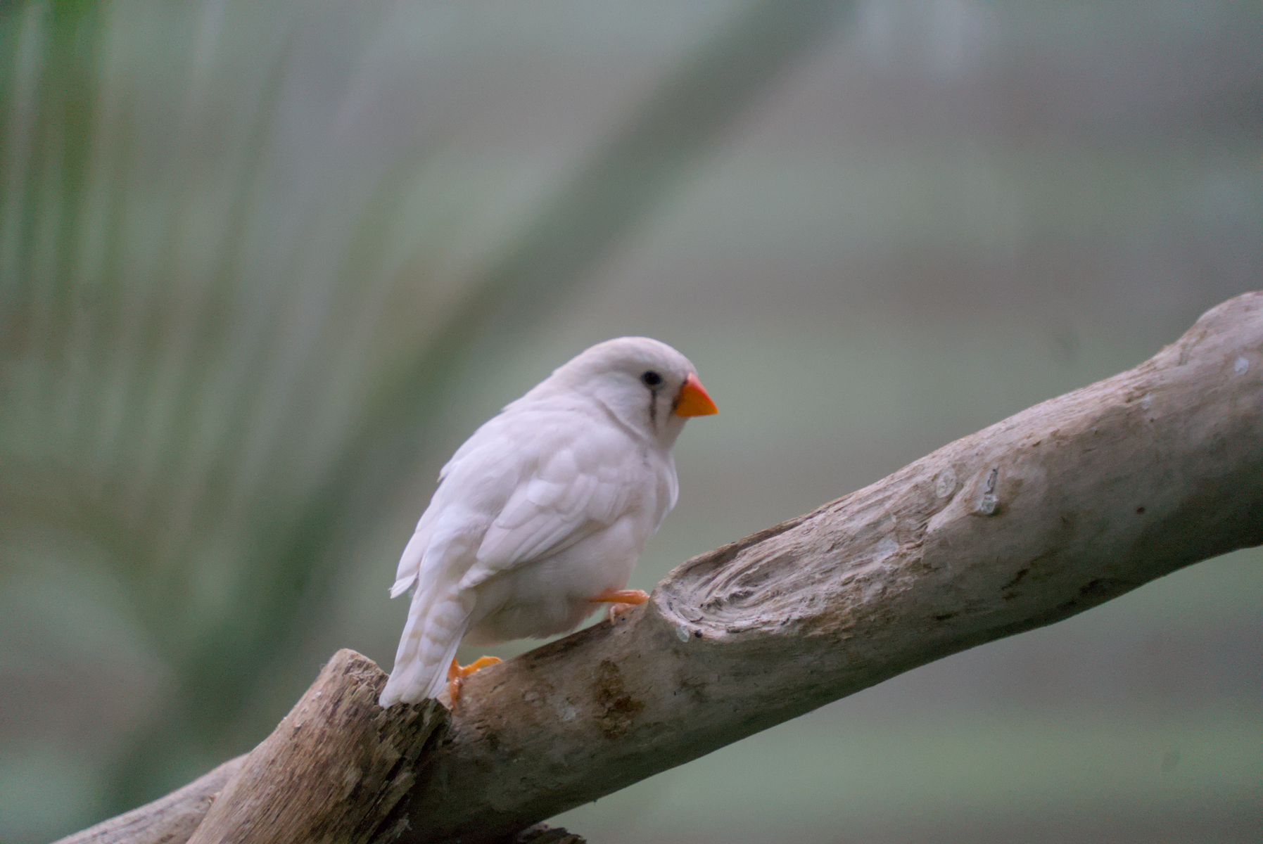 DSC04612.webp