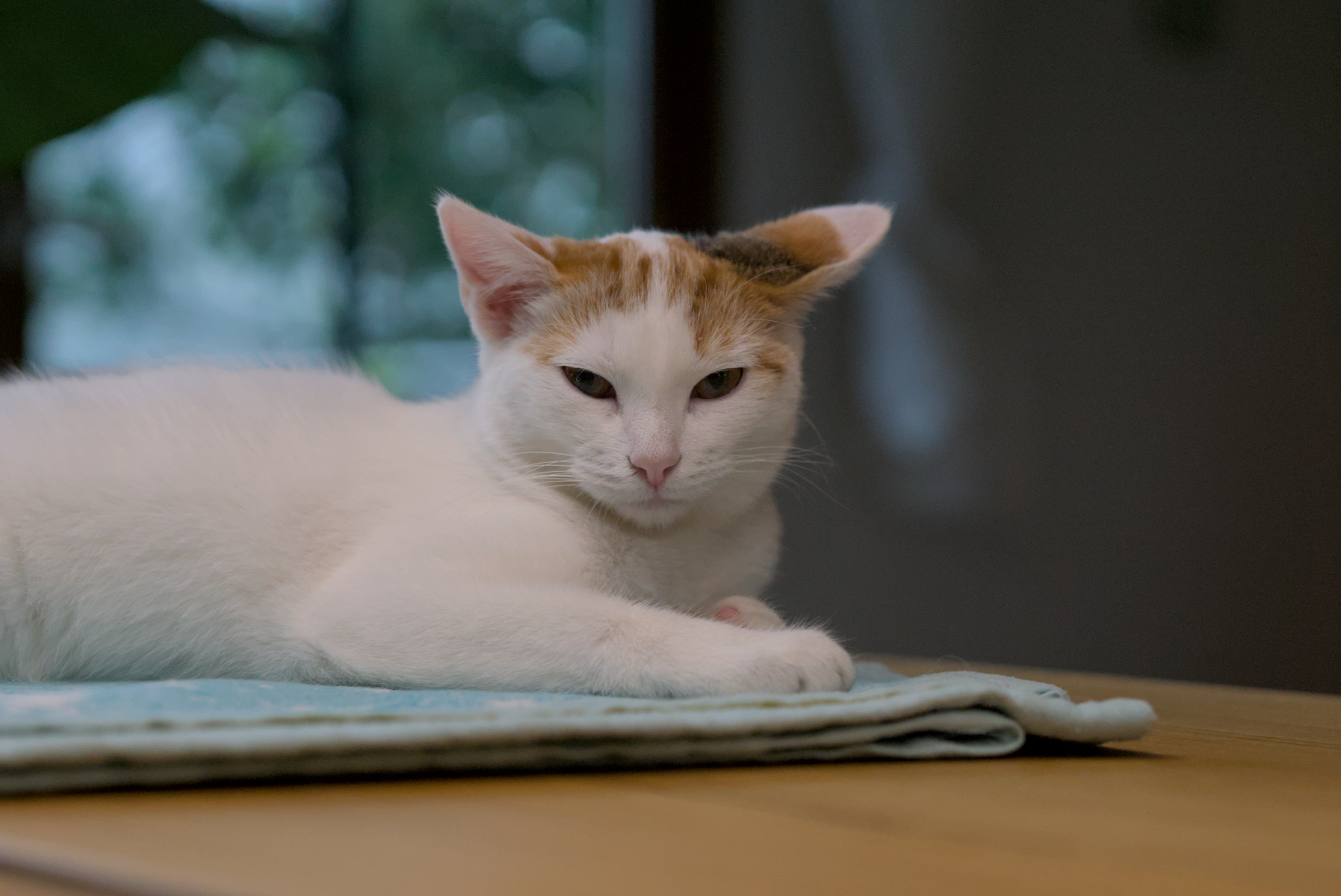 DSC05264.webp
