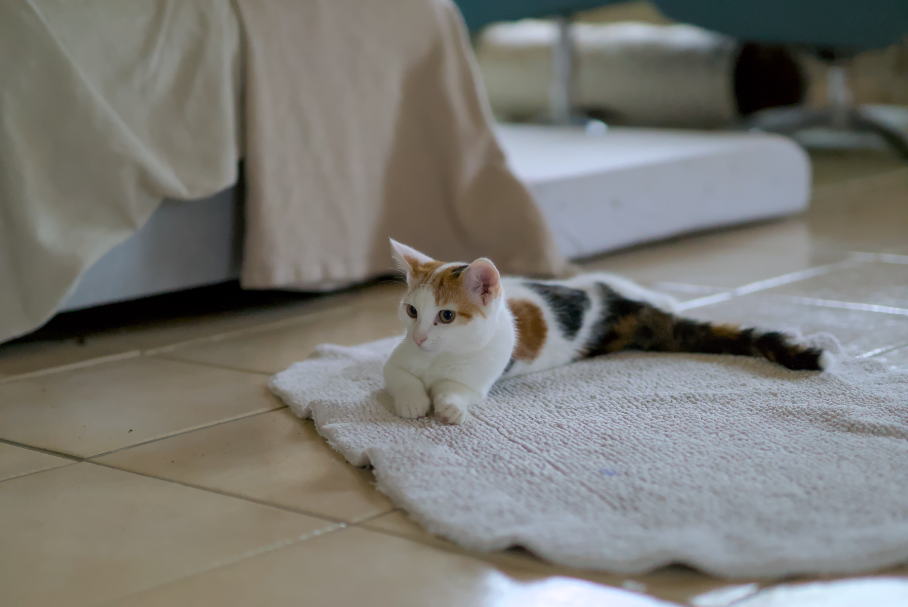DSC05313.webp