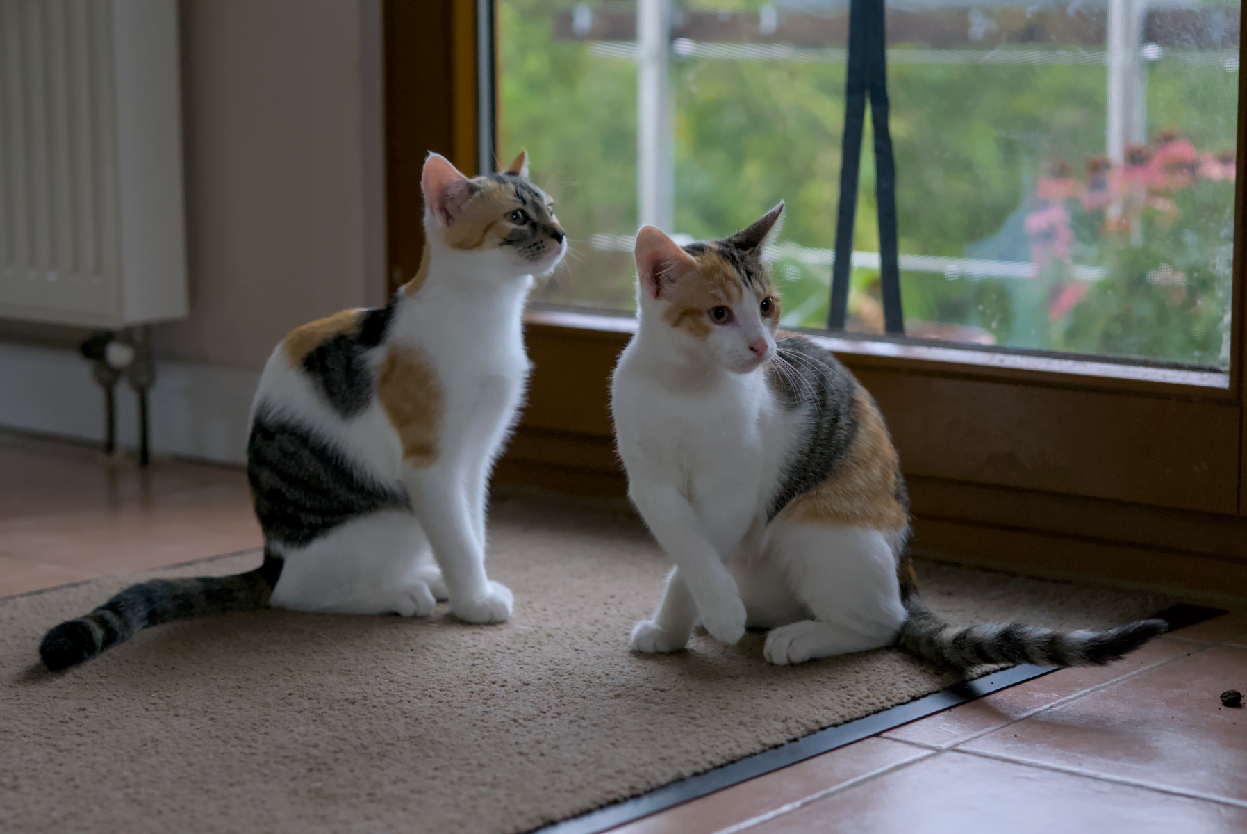 DSC05289.webp