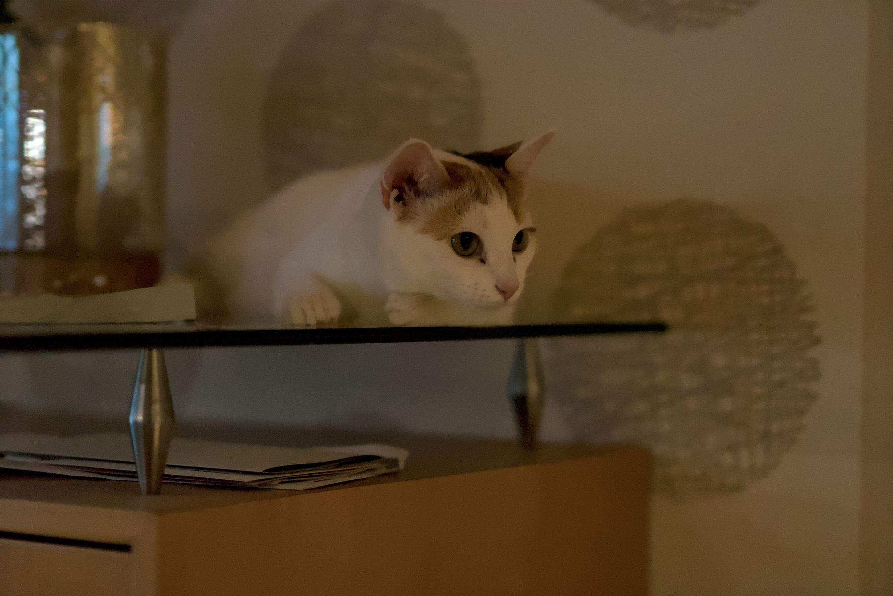 DSC07713.webp