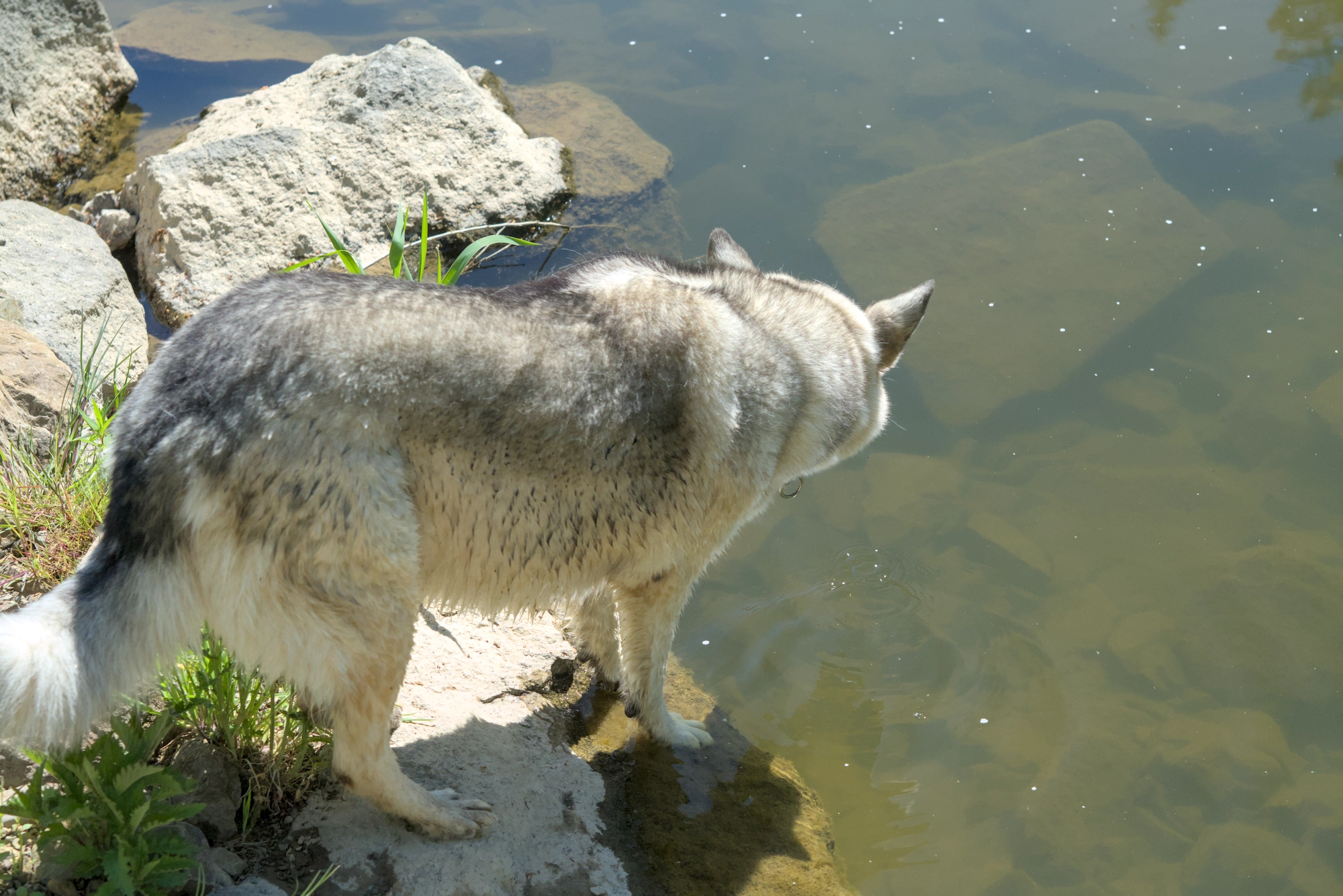 DSC09245.webp