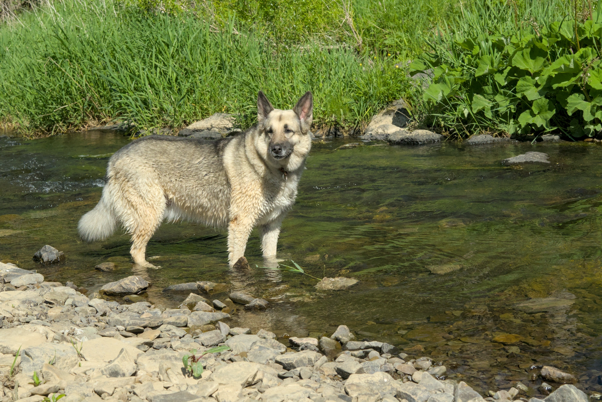 DSC09238.webp