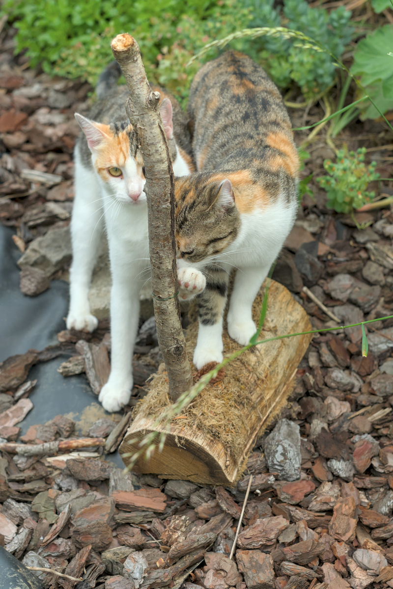 DSC00091_01.webp