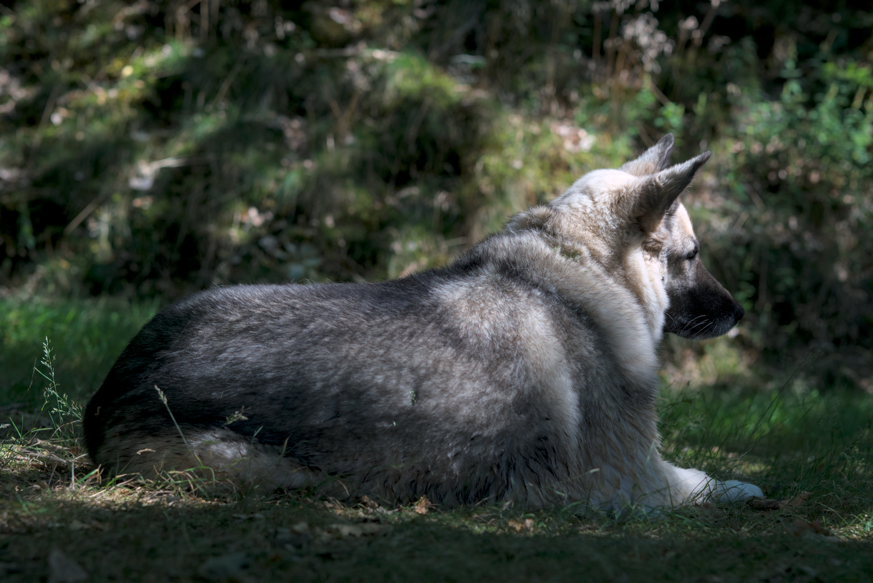 DSC01129.webp